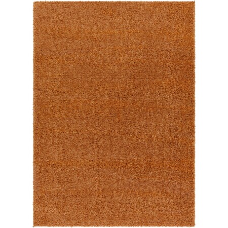 Livabliss Deluxe Shag DXS-2322 Machine Crafted Area Rug DXS2322-679